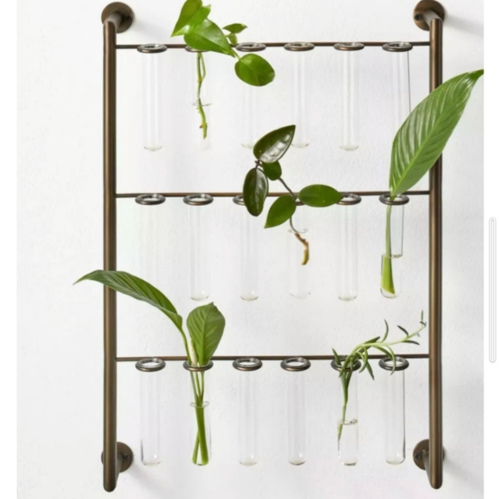 Hilton carter for target plant propagation station brand new